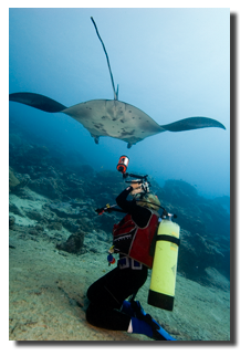 Geri filming the manta rays in Yap
